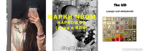 Альфа ПВП Бородино