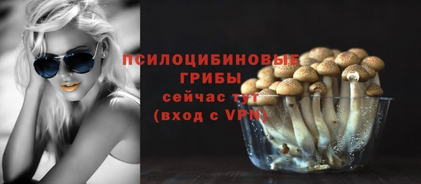 а пвп мука Бугульма