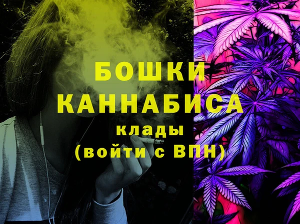 Альфа ПВП Бородино