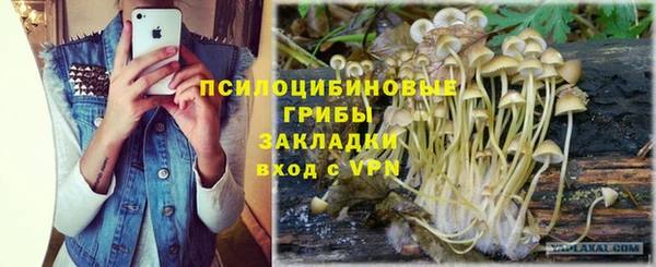 Альфа ПВП Бородино