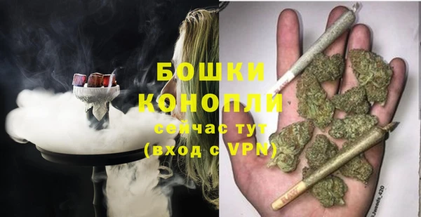 Альфа ПВП Бородино