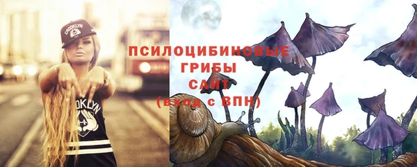 а пвп мука Бугульма