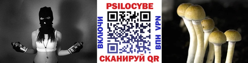 где купить   Новопавловск  hydra вход  Галлюциногенные грибы прущие грибы 